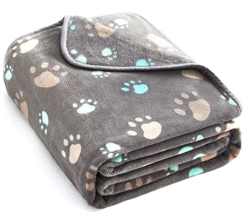 Allisandro Super Soft and Premium Fuzzy Flannel Fleece Pet Dog Blanket, The Cute Print Design Washable Fluffy Blanket for Puppy Cat Kitten Indoor Outdoor, Grey, 32 x 24 Inches - Image 1